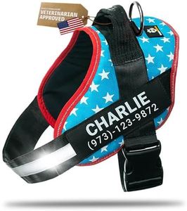 DOGGYKINGDOM Personalized Dog Harness with Custom Name Patches, No Choke, Reflective, Adjustable, Soft Padded Dog Vest Harness with Easy Control Handle for Growing Puppy Size Dog, Light Blue, XS