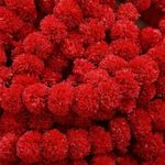 Shree Sawariya 10 Pcs Artificial Marigold Garland Mala Flower Genda Phool Long For Decoration,Home,Wedding,Festivals,Durga Pooja,Diwali,Ganesh Chaturthi 10Pcs (Red Marigold),5 Feet)