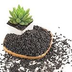 2.4LB Black Lava Rocks for Plants, 