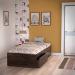 Studio Kook Tribe Engineered Wood Single Bed with Drawers (Junglewood, Matte Finish. Without Headboard)