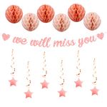 bng-bng Retirement Decorations We Will Miss You Banner Leaving Party Decorations with hanging Swirls Honeycombs for Going Away Farewell Graduation Retirement Party Decorations Photo Backdrop Rose Gold