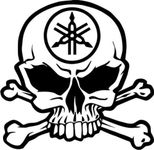 Y Motorcycle Racing Skull Crossbones Car Truck Windows Decor Decal Sticker - Die Cut Vinyl Decal for Windows, Cars, Trucks, Tool Boxes, laptops, MacBook - virtually Any Hard, Smooth Surface