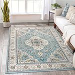 Lahome Floral Medallion Area Rug - 5x7 Large Distressed Living Room Rug, Soft Non-Slip Washable Low-Pile Bedroom Mat Floor Accent Carpet for Entryway Dining Room Office, Sky/Baby Blue