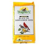 Wagner's 76027 Black Oil Sunflower 