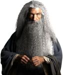 HOMELEX Grey Wizard Beard And Wig -