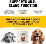 Anal Gland Relief Chews for Dogs - Fiber & Digestive Support Supplement - Soft Chews for Healthy Bowel & Gland Function - Helps Reduce Scooting - Promotes Dog Health & Comfort 30 pcs