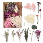 Opopark Natural Dried Flowers Pressed Flowers Real Dried Pressed Flowers and Leaves Dried Flowers Set for Scrapbooking DIY Candle Resin Jewelry Crafts(Purple)