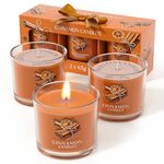 CHILLFLAME Candles Gifts for Women, Cinnamon Candle Gift Set for Her, 3 Scented Votive Candles, Birthday Gifts for Women, Christmas Candle for Women/Men (Orange, 200g)