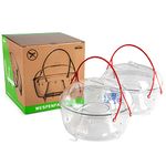Aroba Professional Insect Protection Wasp Trap 18 cm Large and Particularly Effective Environmentally Friendly No Poison Insect Trap Fly Catcher Wasp Catcher Wasp Stop Mosquito Trap Transparent Set of