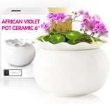 African Violet Pots 6 Inches Ceramic, Effortless Self Watering Pots for Indoor Plants for Busy Plant Lovers, Easy Plant Self Watering Pot, Plant Pots, Flower Pot, Plant pots Indoor