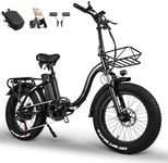 Folding E-Bike, E Bike Electric Bic