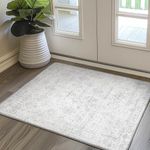 BEIMO 2X3 Area Rugs for Entryway，Machine Washable Entrance Mat, Stain Resistant Non-Shed Vintage Floral Print Door Throw Thin Rug, Low Pile Lightweight with Non Slip Backing, Distressed Cream/Gray