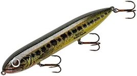 Heddon Super Spook Lure (Florida Ba