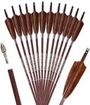 PANDARUS Archery 31-Inch Carbon Hunting Arrows, 4-Inch Turkey Feather Fletching with Replaceable Points, Targeting Practice Arrows Spine 500 for Recurve & Traditional Bows (12 Pack)