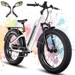 HAOQI Leopard Pro Electric Bike for Adults, Peak 1000W Geared Hub Motor 48V 20AH Removable Battery 26"*4" Fat Tire All-Terrain Ebikes Up to 28MPH & 80Miles Front Suspension 7-Speed UL Certified