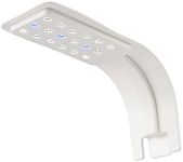 Water-Rebirth Aquarium Clip-on led Light, Fish Tank Light with White and Blue LEDs, Small LED Aquarium Light for Freshwater Tank, 2 Lighting Modes (Black with Base clamp)