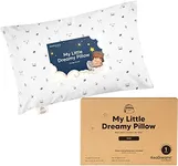 Mini Toddler Pillow with Pillowcase