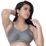 TRYLO Riza T-FIT-36-GREY-D-CUP