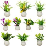 MEMOVAN 10pcs Dollhouse Plant Miniature Bonsai Plant Dollhouse Mini Green Plant Flower Potted Model Tiny Fake Greenery Ornament Simulation Potted Plants for Doll House Furniture Home Decoration