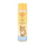 Burt's Bees for Cats Tearless Kitten Shampoo with Buttermilk, 10 Ozs