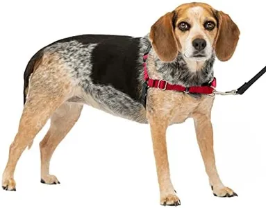 PetSafe Easy Walk No-Pull Dog Harness - The Ultimate Harness to Help Stop Pulling - Take Control & Teach Better Leash Manners - Helps Prevent Pets Pulling on Walks - Small/Medium, Red