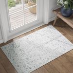 JINCHAN Antibacterial Area Rug 2x3 Washable Rug Outdoor Rug Door Mat Small Rug Grey Carpet for Kids Nursey Front Door Outdoor Indoor Bathroom Kitchen Decor