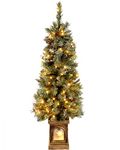 WeRChristmas Pre-Lit Scandinavian Blue Spruce Christmas Tree with 80 Warm White LED Lights, 4 feet/1.2 m - Green