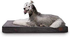 LaiFug Orthopedic Memory Foam Pet/D