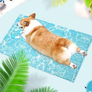 Dog Coolin
