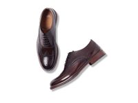 GABICCI Formal (Size 42) Brown Top Grain Leather Shoes for Men, Lace UP, Rounded Tip, Oxford Detail (UK Size 8) Arista Longwing Brogue