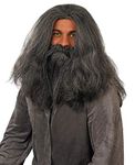 Fun Shack Gray Wig Wizard Beard and Wig Halloween Costumes For Men