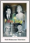 Be Big : Widescreen Television