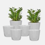 YUCCABE ITALIA SHERA Hexa 8 Inch Pack of 6 Piece Plastic Plant Pot for Home Decor Indoor Plant Pots for Living Room Plastic Flower Pot for Garden (White)