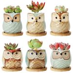 T4U 2.5 Inch Ceramic Succulent Planter Pots with Free Bamboo Saucers Mini Size Set of 6, Cute Owl Bonsai Pots Home and Office Decoration Desktop Windowsill Gift for Gardener