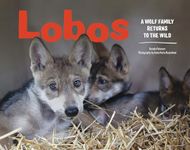 Lobos: A Wolf Family Returns to the Wild