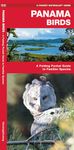 Panama Birds: A Folding Pocket Guide to Familiar Species (A Pocket Naturalist Guide)