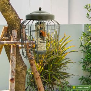 Heavy Duty Squirrel Proof Bird Feeder – Weather Resistant, Large Capacity