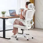 TRALT Office Chair Ergonomic Desk C