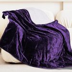 Alomidds Weighted Blanket (60"x80",20lbs Queen Size Purple), Weighted Blankets for Adults and Kids, Cooling Breathable Soft Heavy Blanket Microfiber Material with Glass Beads