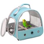 Interfashioner® Small Bird Travel Carrier, Portable Bird Cage for Parrot Parakeet Budgie Reptile with Stainless Steel Tray and Wooden Perch (Green)