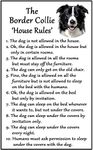 Border Collie Gift - House Rules - Large Fun flexible Fridge Magnet- size 16cms x 10 cms (approx. 6" x4")