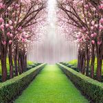 Leowefowa 10x10ft Spring Garden Backdrop Cherry Blossom Blooming Fresh Flowers Backdrops for Photography Jungle Forest Trees Plants Green Grassland Vinyl Photo Background Wedding Ceremony Studio Props