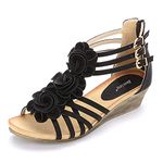 Alexis Leroy Women's Summer T-Straps Buckle Design Fashion Wedge Heel Sandals Black Size: 6-6.5