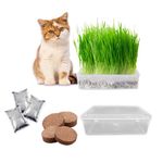 Wheat Grass For Cats