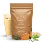 Earthful Honest Plant Protein | 24g Protein/Serving & 4.9g BCCAs | For Weight Management, Energy, Muscle Support & Recovery | Made with Pea & Brown Rice | Alphonso Mango - 504g