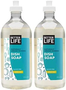 Better Life Dish Soap - Liquid Dishwashing Soap with Vitamin E and Aloe for Home & Kitchen Sink - No Gloves Required Kitchen Soap for Sensitive Skin - 22oz (Pack of 2) Lemon Mint