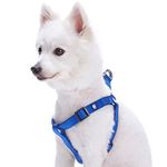 Blueberry Pet 19 Colors Step-in Classic Dog Harness, Chest Girth 20" - 26", Royal Blue, Medium, Adjustable Harnesses for Dogs