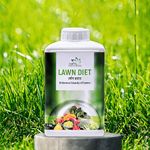 Lawn Grass Growth Booster 100gm | 100% Organic Nutrition for Lush Green Grass | Repairs Brown Patches & Strengthens Roots | Ideal for Rooftop, Residential, Commercial & School Lawns - Lawn Diet