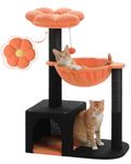 MUTTROS Halloween Cat Tree with Yellow Flower Perch - Black Scratching Posts, 35" Coffin Cat Tower with Large Hammock Cat Condo for Small Indoor Cats, Yellow Pumpkin Cat Bed for Kittens,Orange