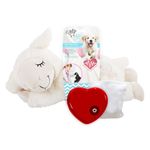 ALL FOR PAWS Dog Heart Beat Plush Cuddle Toy With Warm Bag, Soft Pet Anxiety Puppy Relief Toy, Puppy Heartbeat Stuffed Animal Sleeping Buddy Toy